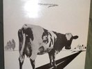 Pink Floyd 2 LP record album colour vinyl