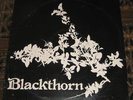 BLACKTHORN - SAME - WHM UK 1977  FOLK PRIVATE