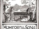 MUMFORD & SONS - LOVE YOUR GROUND 10