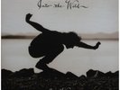 EDDIE VEDDER - INTO THE WILD  - SEALED VINYL 12