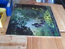 CARAVAN IF I COULD DO IT ALL OVER AGAIN 1970 MINT UK LP