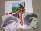 JIMI HENDRIX 12 LP plus Maxi Single BOX Polydor 1980