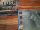 Rush Roll the Bones Atlantic Label MINT & RARE Vinyl LP