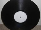PIG DESTROYER Phantom Limb LP TEST PRESSING 12