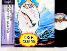 STEVE HILLAGE (GONG) fish rising JAPAN orig LP FREE P+P