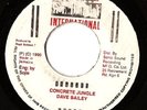 DAVE BAILEY, Concrete Jungle, REDMAN INT 7