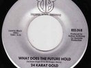 Modern Soul * 24 KARAT GOLD * Desert Bone * LISTEN MP3