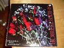 SHEER TERROR LP HARDCORE PUNK SXE NYHC