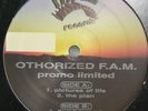 ORTHORIZED F.A.M. PICTURES OF LIFE/THE PLAN 12