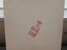Bob Dylan LP While the Establishment Burns Tmoq Orig.