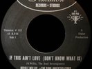 Nicole Willis/Soul IGs- If This Ain't  2005 TIMMION 45