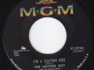 LEATHER BOY I'm A Leather Boy GARAGE ROCK psych LISTEN
