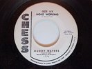 RARE BLUES 45 1774 CHESS DJ MUDDY WATERS L K