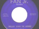 1962 SMALL LABEL ROCK 45 - VILAS CRAIG on FAN JR.  VG+