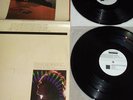 SIOUXSIE AND THE BANSHEES - HALLOWEEN - 2 LP LIVE 1980