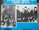 DALLAS PSYCHEDELIC LP CICADELIC Texas Punk#4 Exotics