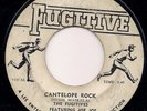 CANTELOPE ROCK / THE LECTURE - THE FUGITIVES