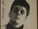 Teenage Head-Picture My Face-Orig Picture Sleeve-78-kbd