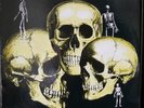 Skull Snaps S/T Rare Funk Grail LP Breaks Orig. NM HEAR