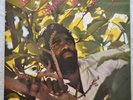 Junior Byles- Rasta No Pickpocket LP REGGAE-KING CHUBBY