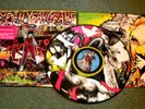 YEAH YEAH YEAHS FEVER TO TELL debut PIC DISC LP RARE