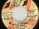 Don Bryant What Are You Doing To My World Soul 45 HEAR