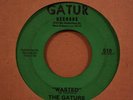 GATURS Wasted GATOR BAIT New Orleans FUNK R&B