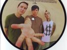 BLINK 182  I Miss You  PICTURE DISC MINT 45 7