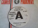 JERRY JACKSON - It's Rough Out There (Cameo Parkway DJ)
