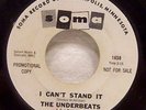 45 Rock THE UNDERBEATS I Can't Stand It 1966 Soma PROMO