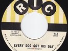 EDDIE BO Every Dog Got His Day NORTHERN SOUL r&b FUNK