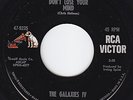 GALAXIES IV Don't Lose Your Mind GARAGE ROCK psych HEAR