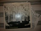 THE ICONOCLAST - In These Times 7