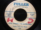 LITTLE JUNIOR AND THE BUTLER AIRES - FLORIDA GOSPEL 45