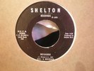 UNKNOWN AFRO PSYCH FUNK 45 GILL & MORGAN shelton HEAR
