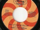 SANDY & THE PEBBLES on Mercury NORTHERN SOUL 45 HEAR