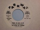 THE RITES OF SPRING  Comin' Garage Psych Fuzz 45 LISTEN