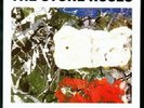 STONE ROSES - I AM THE RESURRECTION 7