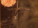 DARKIFIED-SLEEP FOREVER  7 INCH