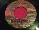 KILLER FUZZ PSYCH GARAGE 45;CRYSTAL CHANDLIER,SUICIDE