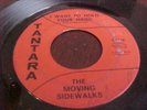 THE MOVING SIDEWALKS- TANTARA# 3108  