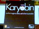 SPONTANEOUS MUSIC ENSEMBLE Karyobin ORIG PINK ISLAND LP