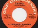 SEEDS thousand shadows 45 top FUZZ GARAGE psych HEAR ??