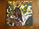 JUNIOR BYLES Rasta No Pickpocket LP Niney the Observer