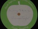 JAMES TAYLOR Sunny Skies UNRELEASED 1969 APPLE BEATLES