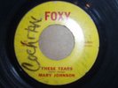 MARY JOHNSON 