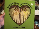 Family Tree - Somewhere in Your Heart MODERN SOUL Hear