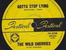 WILD CHERRIES LOBBY LOYDE STOP LYING PSYCH FESTIVAL 45