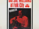 Big Joe Williams - At Folk City Prestige Bluesville LP