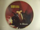NIRVANA - IN BLOOM MAXI PICTURE DISC LIMITED 1991/1992